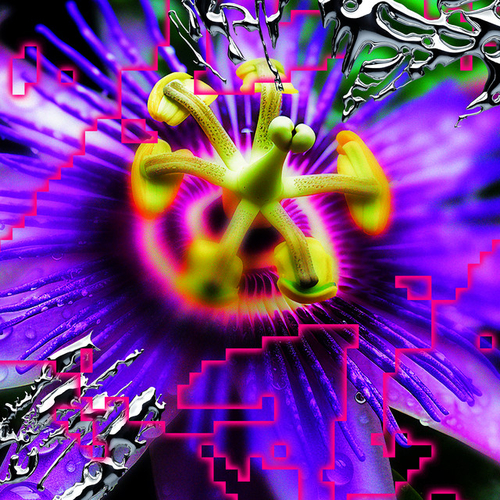 Coverart